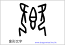 圖片